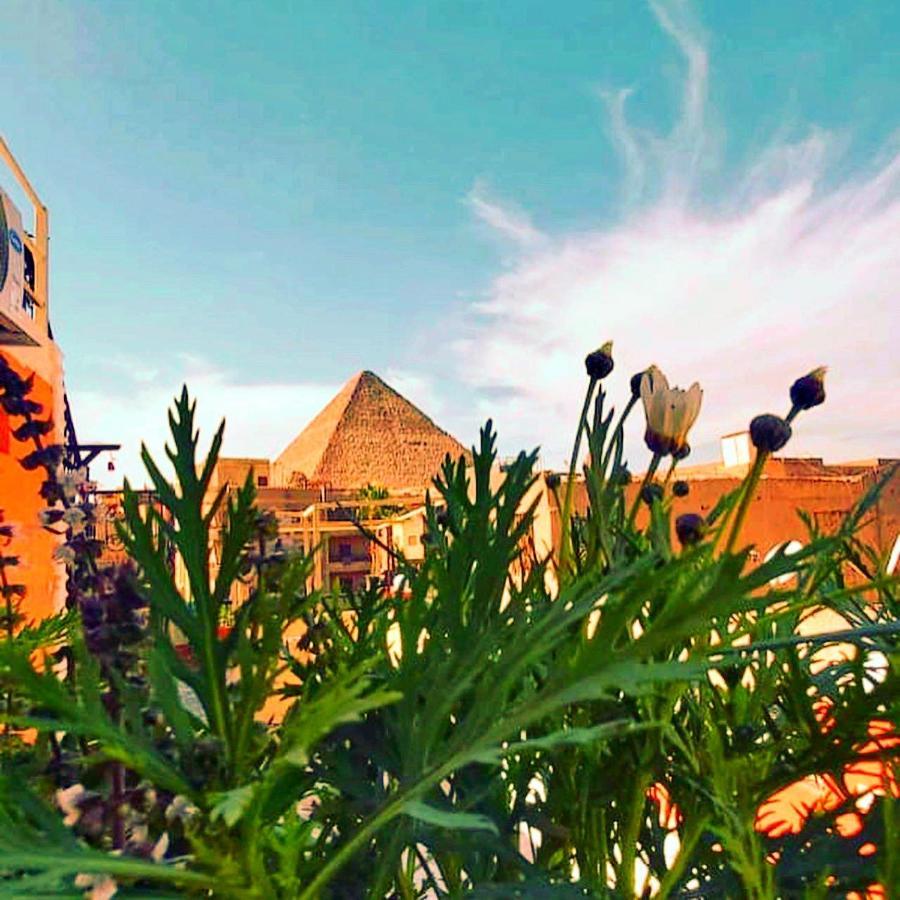 Carpet Alaadein Pyramids View Hotel Kafret el-Gabal Eksteriør billede