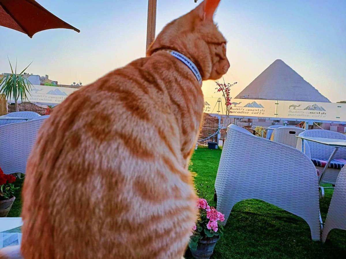 Carpet Alaadein Pyramids View Hotel Kafret el-Gabal Eksteriør billede